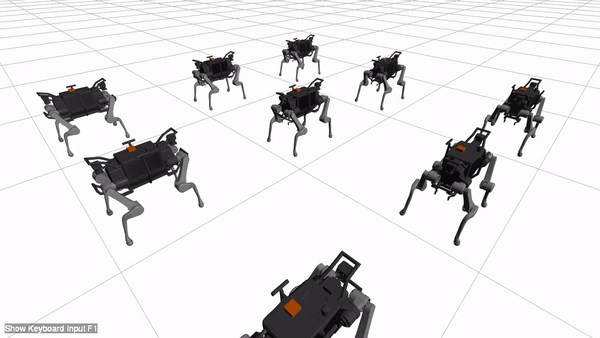 ANYmal test raisim-anymals-gif